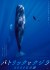 【字幕】パトリックとクジラ 6000日の絆